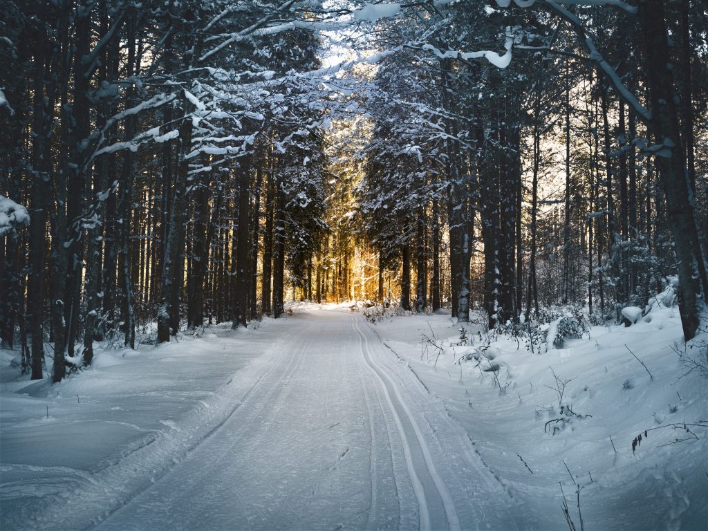 Quel parfum pouvez-vous porter en Hiver ?